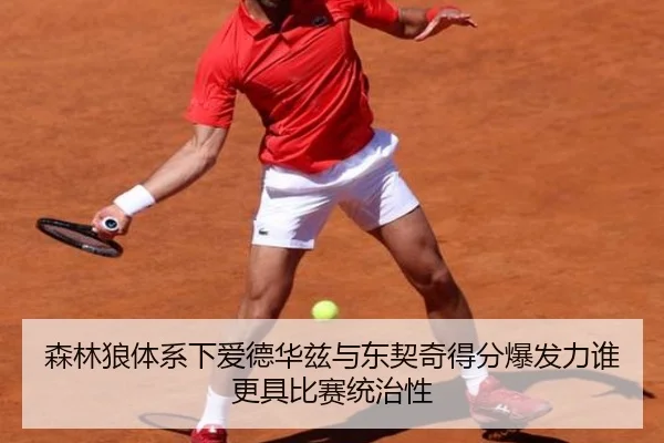 森林狼体系下爱德华兹与东契奇得分爆发力谁更具比赛统治性