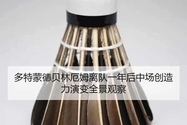 多特蒙德贝林厄姆离队一年后中场创造力演变全景观察