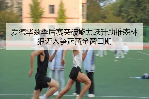 爱德华兹季后赛突破能力跃升助推森林狼迈入争冠黄金窗口期